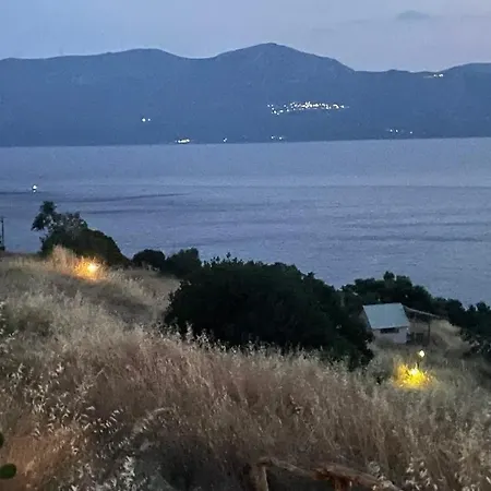 φυταλμιος *